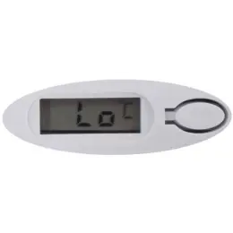 Digital Thermometer Screen